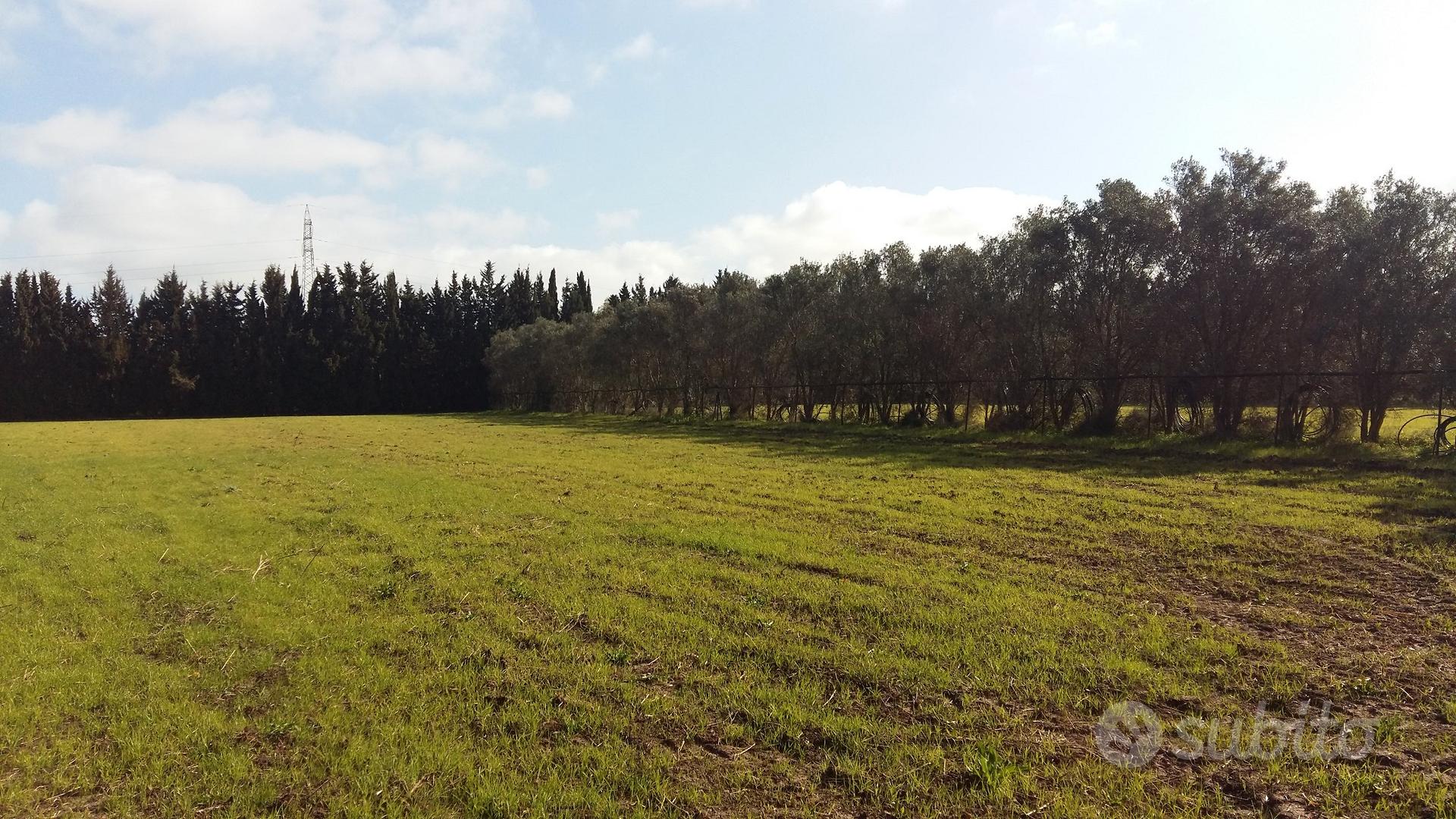 Terreno agricolo - Vista 3