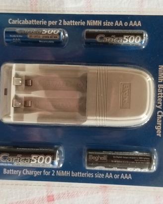 caricabatterie con batterie 