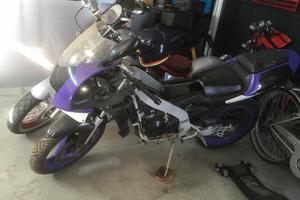 Aprilia RS50 Reggiani