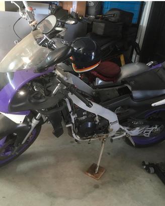 Aprilia RS50 Reggiani
