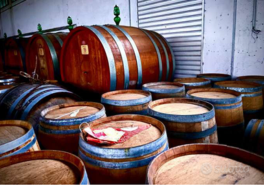 Botti in legno varie dimensioni