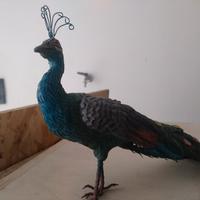 pavone presepe napoletano 