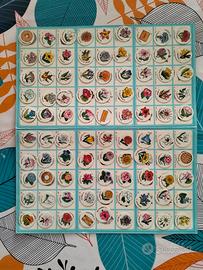 Tombola dei Fiori 