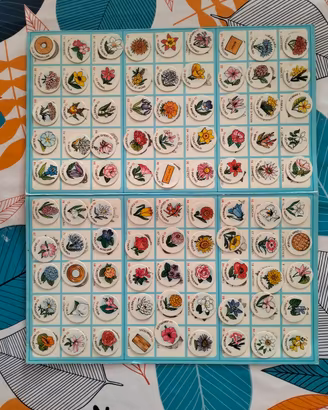 Tombola dei Fiori 