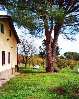 Villa indipendente zona Vitorchiano - Pallone - Sa