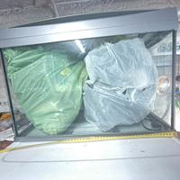 Set acquario con accessori