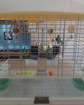 Gabbia per pappagalli 🦜 e 🪺 