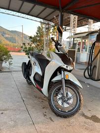 Sh 350 sport 2026
