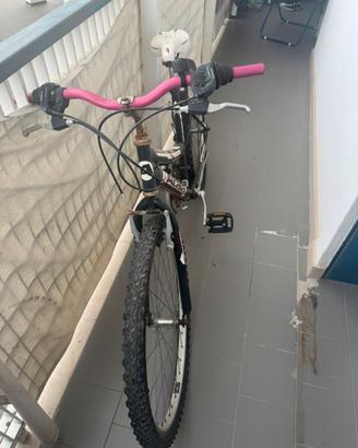 Bicicletta per ragazini