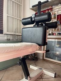 Panca Professionale Magnum addominali e lombari