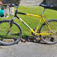 mountain bike 