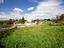 Immagine 29
