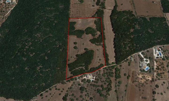 Terreno agricolo a Alberobello