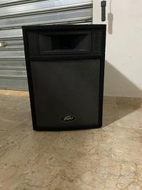 Coppia Peavey pro-12 Casse