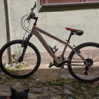 Lombardo MTB