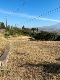 Vendita terreno commerciale/edificabile 5000 mq