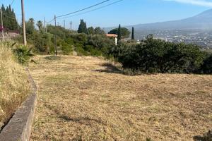 Vendita terreno commerciale/edificabile 5000 mq