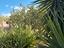 Immagine 21