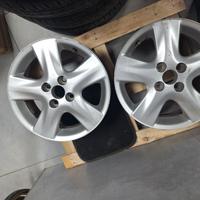 Cerchi in ferro/lega