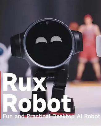 AI ROBOT RUX