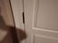 Immagine 15