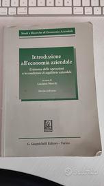 Introduzione all'economia aziendale di L. Marchi