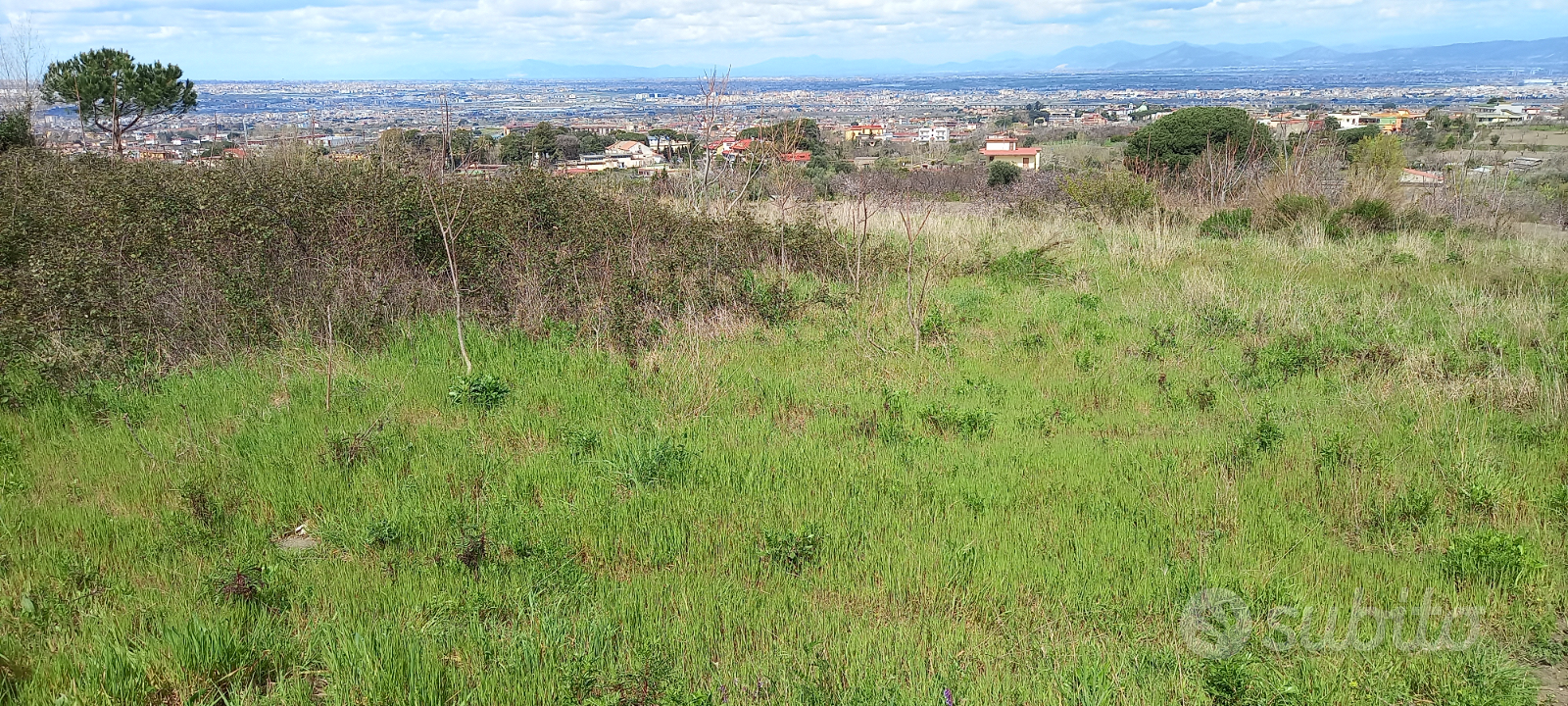 Terreno agricolo Sant'Anastasia 11677 mq - Vista 3