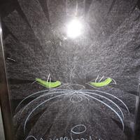 Novella Parigini Gatto