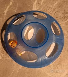 gioco gatto 