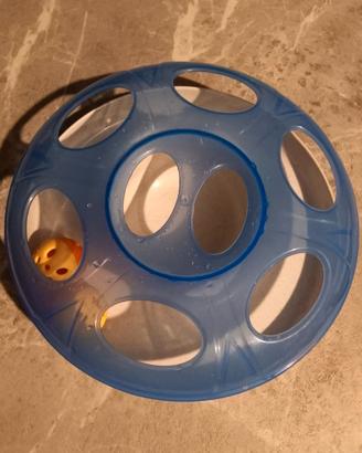 gioco gatto 