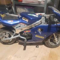 mini moto