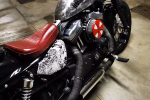 Harley Davidson Sportster 48 XL 1200 custom