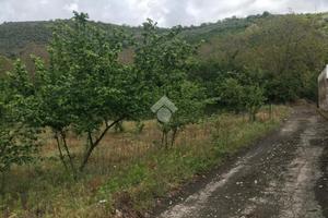 TER. AGRICOLO A NOLA