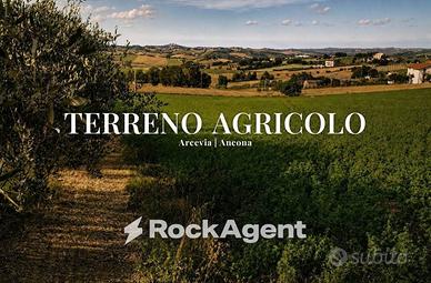 Terreno di 29773 m² a Arcevia