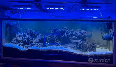 Acquariologia