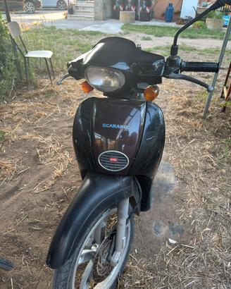 Aprilia Scarabeo 50