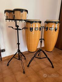 Bongos LP Aspire + Congas Remo Crown Percussion