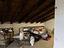 Immagine 12