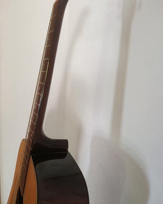 Chitarra acustica