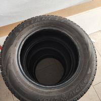 Gomme invernali Triangle