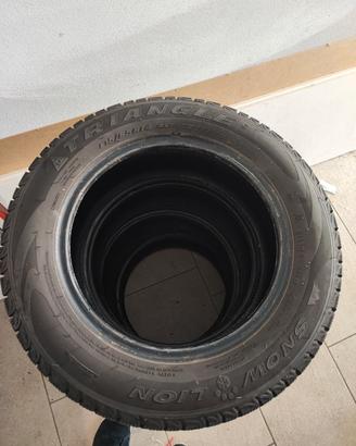 Gomme invernali Triangle