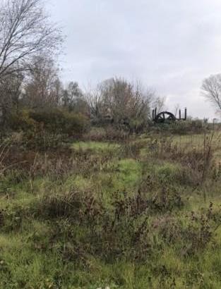 RGE 258/2024 Trib Pavia - LOTTO 1