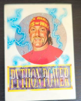 FIGURINA CENTER TV 1991 SUPER STARS OF WRESTLING