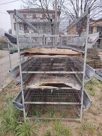 gabbia per galline ovaiole