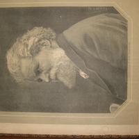 Il grande poeta Carducci