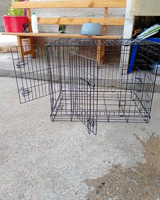 kennel per cani