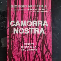 "Camorra nostra" libro