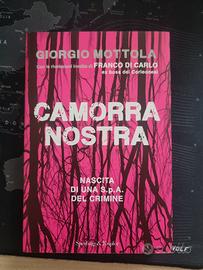 "Camorra nostra" libro
