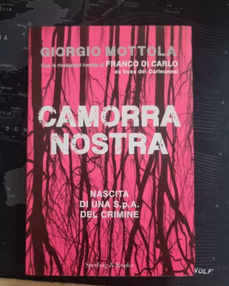 "Camorra nostra" libro