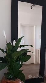 specchiera Olivieri